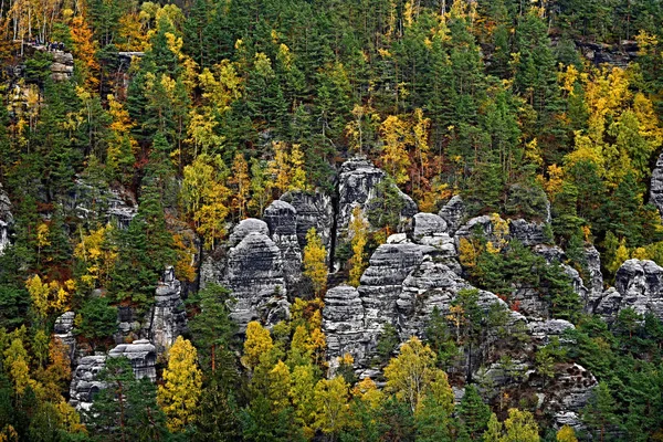 グループコネルギーのザクセン州の山の中の崖の端に森林の眺め — ストック写真