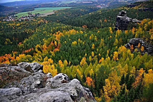 Montagnes Forêts Schsische Schweiz Osterzgebirge Dans État Libre Saxe Allemagne — Photo