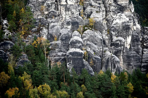 Nature Randonnée Dans Schsische Schweiz Osterzgebirge Dans Etat Libre Saxe — Photo