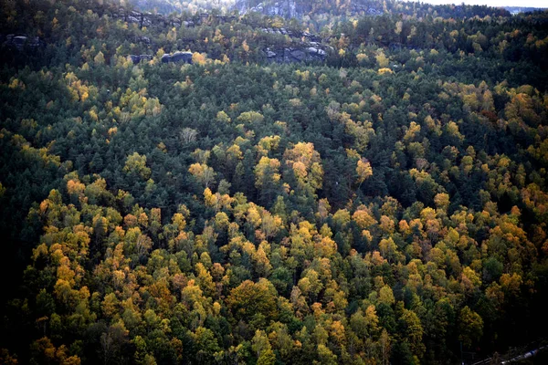 Природа Піші Походи Schsische Schweiz Osterzgebirge Вільна Держава Саксонія Східної — стокове фото