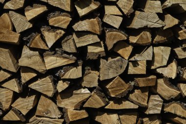 Kış öncesinde yığılmış yakacak odun, yakın çekim