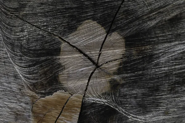 Kış öncesinde yığılmış yakacak odun, yakın çekim