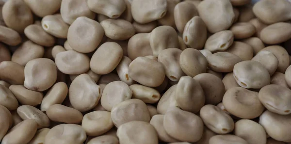 Close Lupin Lupini Beans Delicacy Snack Ready Eat Aka Tremocos — Stok Foto