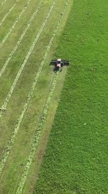 Hasat makinesinin en üst görüntüsü mahsul topluyor. Dikey video