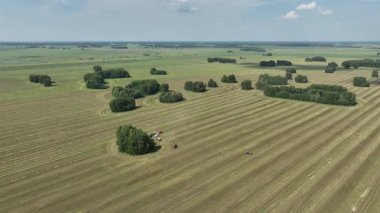 Hasat sırasında tarlaların drone görünümü