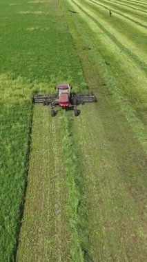 Hasat makinesinin en üst görüntüsü mahsul topluyor. Dikey video
