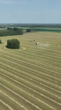 Hasat sırasında tarlaların drone görünümü