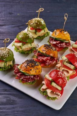 Çok renkli küçük hamburger moda ayarlayın. Bir kare plaka üzerinde farklı dolguları ile sandviç şeklinde çerez. Büfe için a muamele etmek. Vejetaryen ve et Burger.