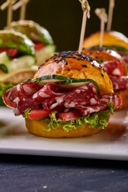 Çok renkli küçük hamburger moda ayarlayın. Bir kare plaka üzerinde farklı dolguları ile sandviç şeklinde çerez. Büfe için a muamele etmek. Vejetaryen ve et Burger.