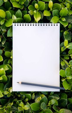Beyaz boş defter bir kalem bir yeşil Bush ile
