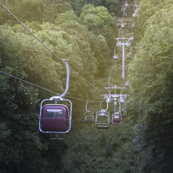 image of a cable car in the mountains running through a forest glade up in a beautiful light