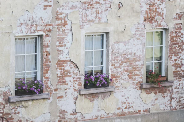 Old brick wall with crumbling plaster on the windows are beautiful flowers, background