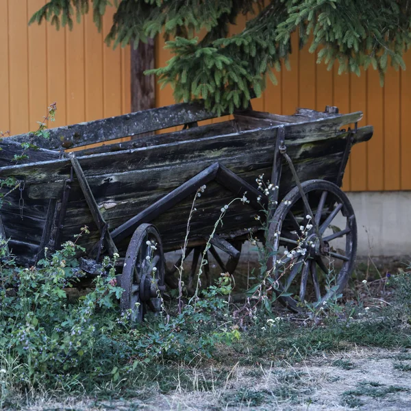 Old Broken Wooden Cart Stands Farm Dense Green Grass — Stock Photo, Image