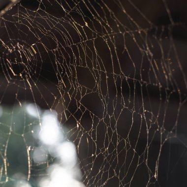 Güzel bir yumuşak akşam gün batımını ışınlarının pasını paterni