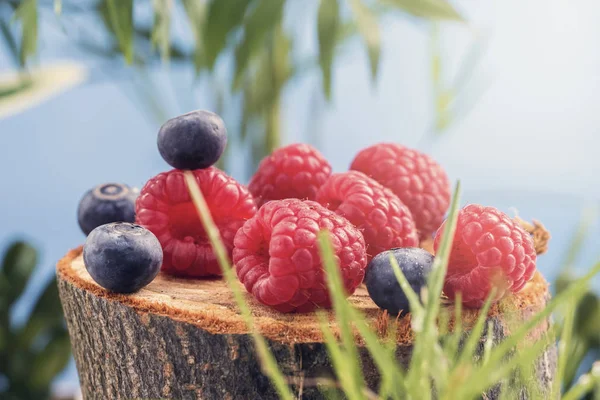 Fresh juicy forest berries of raspberries and blueberries lie on a tree stump in a cool forest