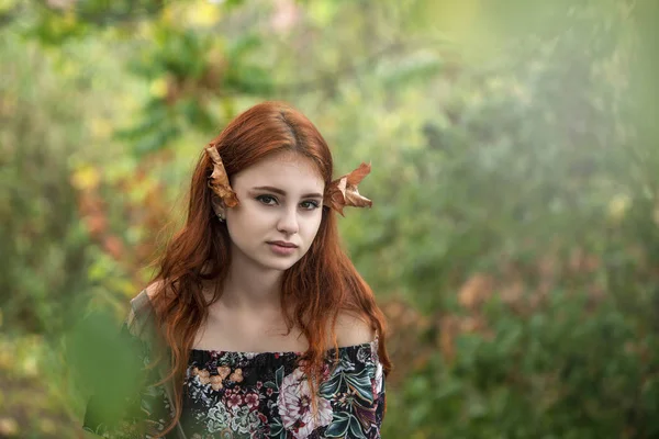 魅力的な外観と彼女の髪の秋の紅葉と美しい赤髪少女自然の中を歩く — ストック写真