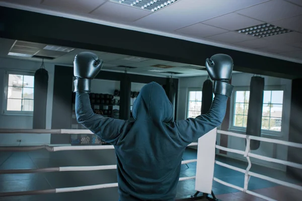 Męski bokser w pierścieniu sportowym podniósł dwa dłonie nad jego — Zdjęcie stockowe