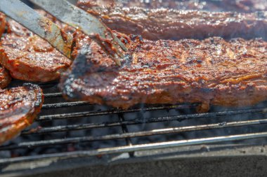 Marine et ızgara ızgara, natur yakın çekim