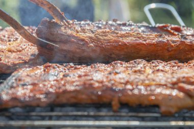 Marine et ızgara ızgara, natur yakın çekim