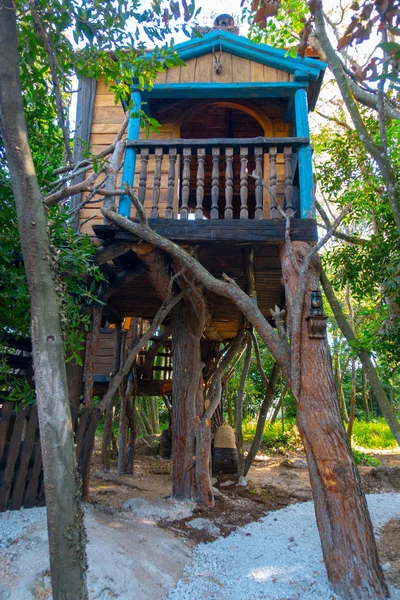 Fantasy tree house for children, playing