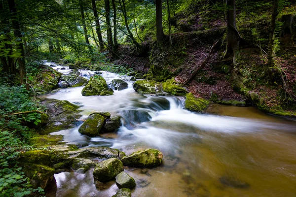 Ποτάμι βουνό - ρεύμα που ρέει μέσα από παχύ πράσινο δάσος, Bistriski Vintgar, Σλοβενία — Φωτογραφία Αρχείου