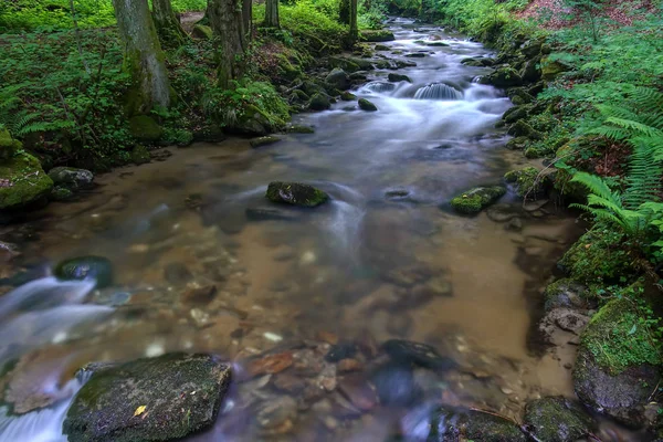 Gebirgsfluss - Bach fließt durch dichten grünen Wald, bistriski vintgar, Slowenien — Stockfoto