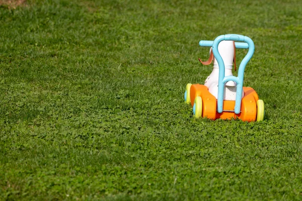 Çim, terk edilmiş oyuncak oyuncak kamyon