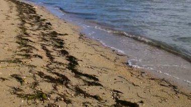 Queens Beach'te Nin, Dalmaçya, Hırvatistan. Nin Hırvatistan'daki ünlü turistik yer.