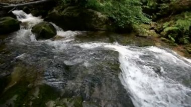 Kayaların üzerinden çalışan orman dağ dere