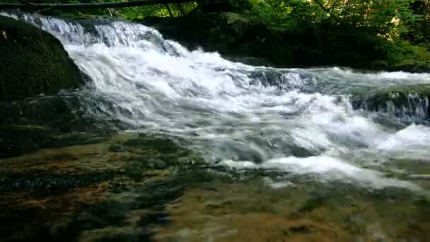 Wald Gebirgsbach läuft über Felsen — Stockvideo