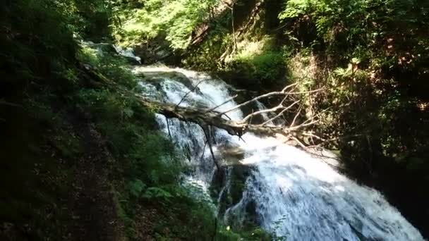Erdő hegyi patak fut át sziklák — Stock videók