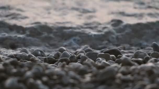 Primer plano de las olas del mar golpeando guijarros en la playa — Vídeos de Stock