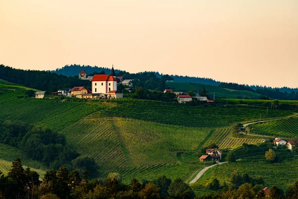 Viñedos con pequeño pueblo en Ritoznoj, Eslovenia — Foto de Stock
