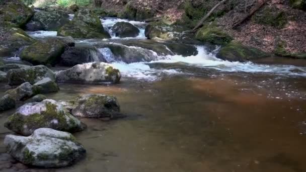 Horská řeka - proud tekoucí přes hustý zelený Les, Bistriski Vintgar, Slovinsko — Stock video