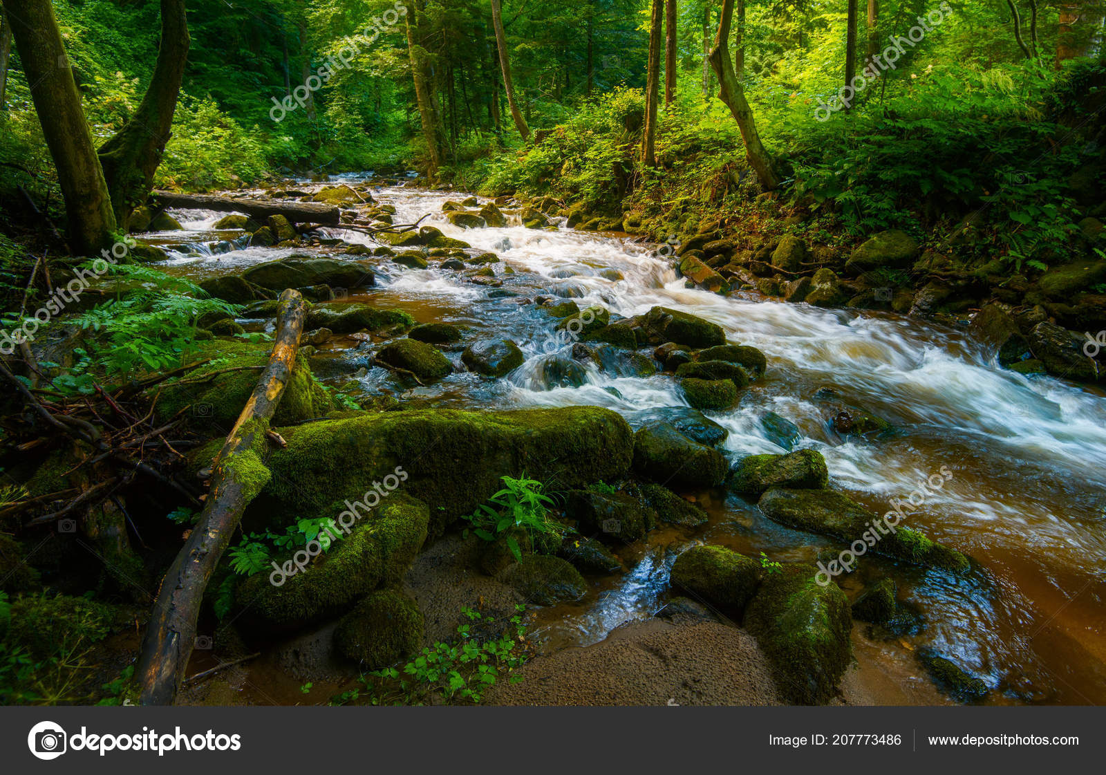 Red Lake River Photo Gallery - Red Lake Watershed District, image size:1600x1121