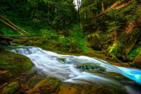 Fiume Montagna Torrente Che Scorre Attraverso Una Fitta Foresta Verde — Foto Stock