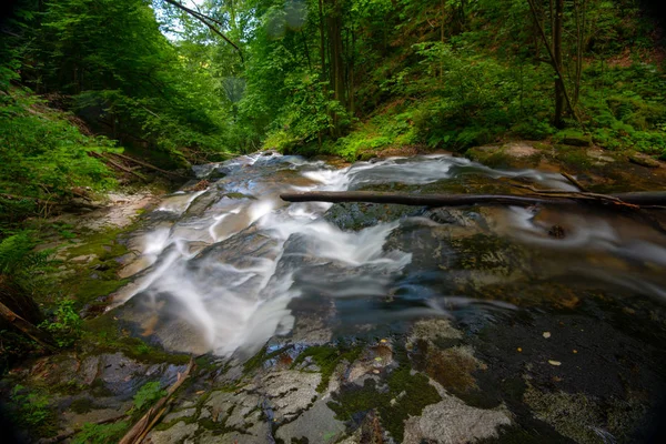 山溪流经茂密的绿色森林 在茂密的木材流 在河床上的大巨石与倒下的树干覆盖在苔藓 雨林在欧洲 Bistriski Vintgar 斯洛文尼亚 — 图库照片
