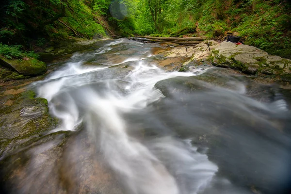 Rio Montanha Córrego Que Flui Através Floresta Verde Grossa Fluxo — Fotografia de Stock