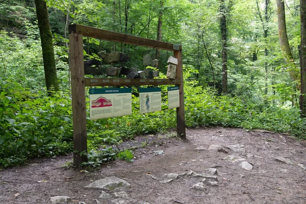 Зразки rockbed на виставці в Bistriski Vintgar, Словенія — стокове фото