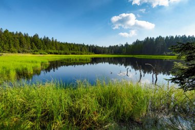 Crno jezero veya siyah lake, Pohorje, Slovenya popüler hiking hedefinde