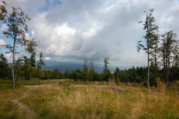 Panorama montanhoso, prado, floresta com montanhas no fundo e paisagem nebulosa dramática — Fotografia de Stock