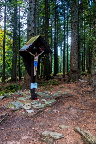 Statue de Jésus sur la croix dans les bois — Photo