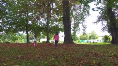 İkizler, sonbahar yaprakları ağaçların altında genel Parkta oynayan iki kız kardeş