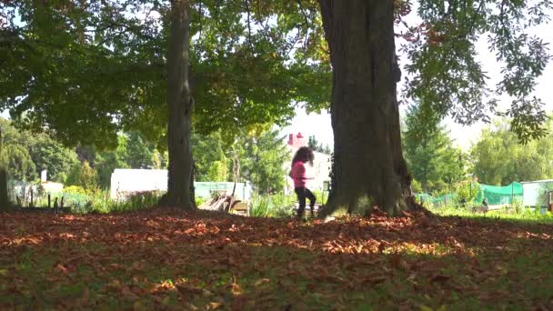 Mała dziewczynka w parku publicznym pod drzewo gra zabawa w chowanego — Wideo stockowe