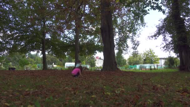 双胞胎, 两个姐妹在公园里玩耍, 秋天的叶子在树下 — 图库视频影像