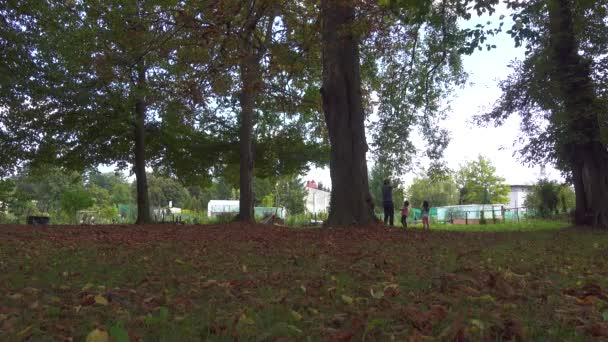 Vater geht mit Töchtern im Park im Herbstlaub spazieren — Stockvideo