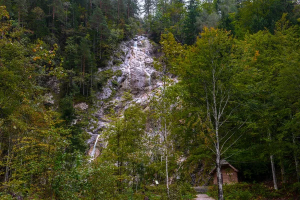 Cascade Palenk Dans Vallée Logarska Slovénie Ruisseau Alpin Cascade Sur — Photo