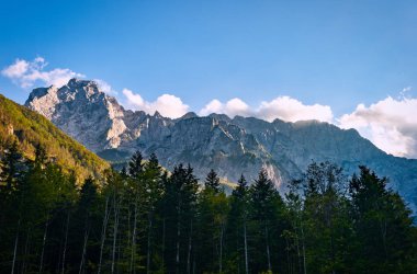 Dağ sırtı orman önünde, Kamnisko Savinske Alps, Slovenya ile
