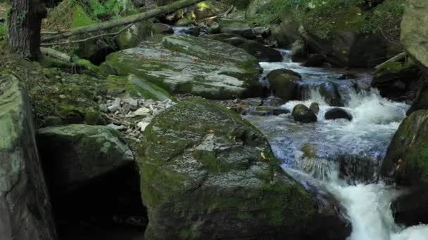 Rivière de montagne qui coule sur les rochers et les rochers dans la forêt 
