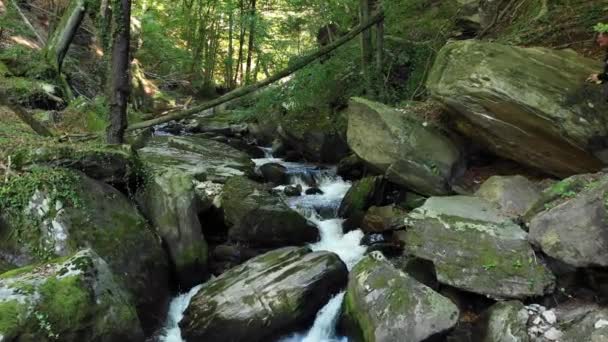 Vuoristojoki virtaa kivien ja lohkareiden yli metsässä — kuvapankkivideo